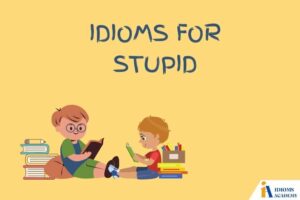 Idioms for stupid