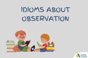 idioms about observation