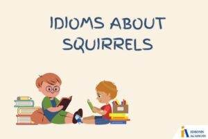 idioms about squirrels