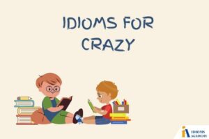 idioms for crazy