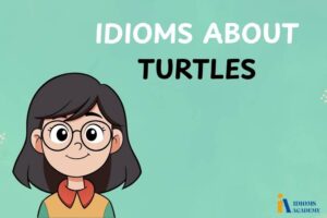 idioms about turtles