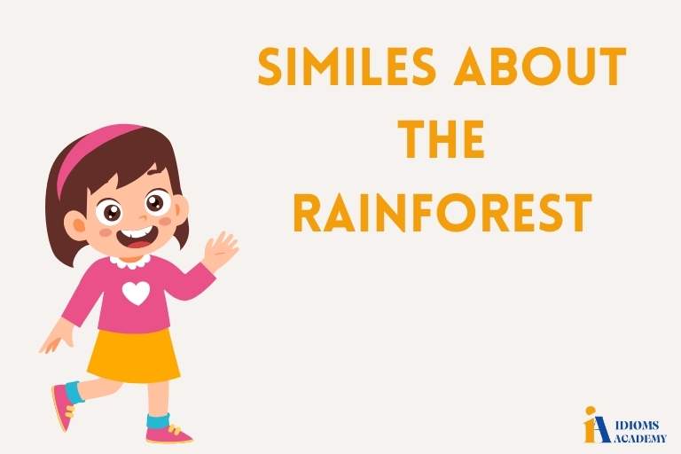 similes about the rainforest