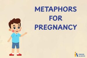metaphors for pregnancy